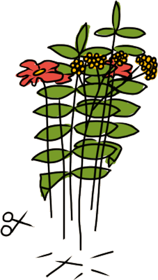 image of cutting the flowers