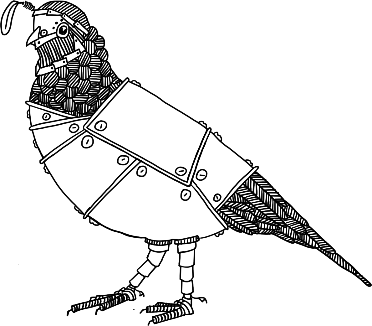 Quail wearing armor